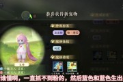 逆水寒手游新宠物哪个技能适合pvp？最佳pvp技能组合是什么？