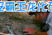 恐龙化石猎人之游戏攻略（如何成为恐龙化石猎人）