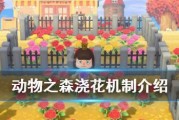 动物森友会第二层上法是什么？如何在NS动物之森中到达高地？
