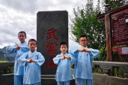 武当问道武术的特色是什么？学习它需要哪些条件？