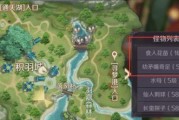 完美世界账号移除的具体步骤是什么？