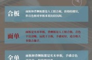 游戏攻略（探索神秘的萨伽希世界）