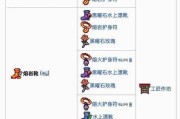 泰拉活动的具体参与步骤是什么？