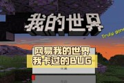 我的世界中bug地方如何寻找？如何利用这些bug？