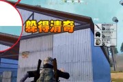绝地求生刺激战场（挑战自己）