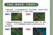 视野平板在英雄联盟中如何调整？