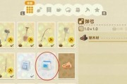 动物森友会火箭怎么做？火箭制作方法介绍详细步骤是什么？