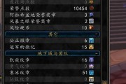 魔兽世界80级裁缝攻略有哪些？裁缝专业技能如何分析和介绍？