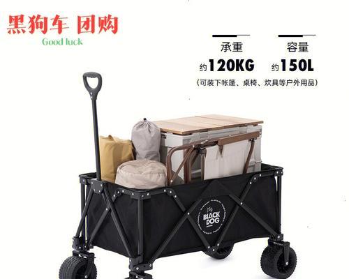 口袋觉醒黑狗阵容搭配攻略（口袋觉醒黑狗阵容）