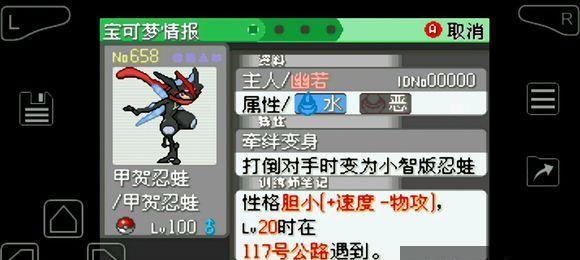《口袋妖怪绿宝石二周目攻略指南》（详细介绍游戏玩法）