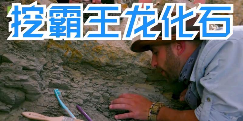恐龙化石猎人之游戏攻略（如何成为恐龙化石猎人）