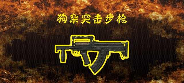 《和平精英》中最强的步枪有哪些（掌握最佳步枪）