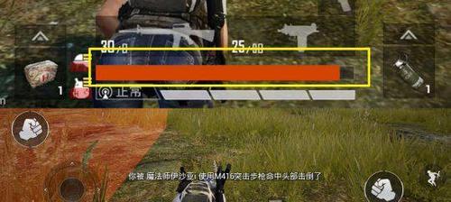如何安全地玩和平精英（全面了解跑毒攻略）
