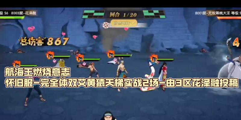 航海王燃烧意志全人物图鉴，揭秘这个海洋世界的英雄们（从游戏到现实）