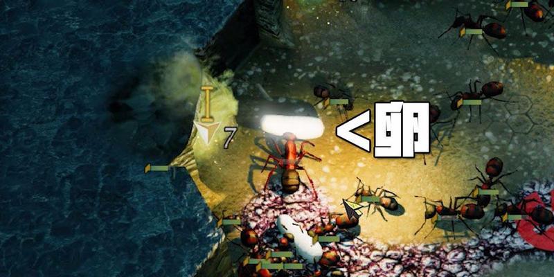地下蚁国（从无到有）