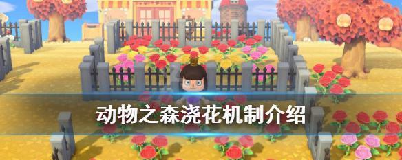 动物森友会第二层上法是什么？如何在NS动物之森中到达高地？