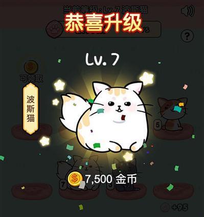 魔兽世界72新版慈善宠物面世攻略可爱的小猫怎么获得？