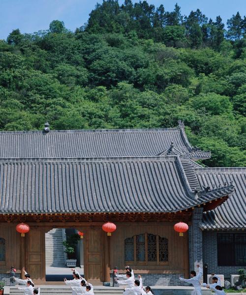 武当问道武术的特色是什么？学习它需要哪些条件？