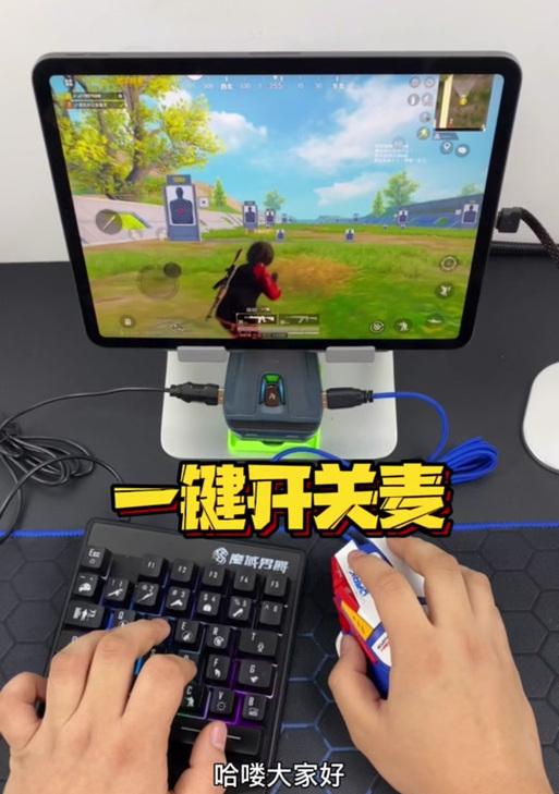 绝地求生麦克风输入怎么设置？