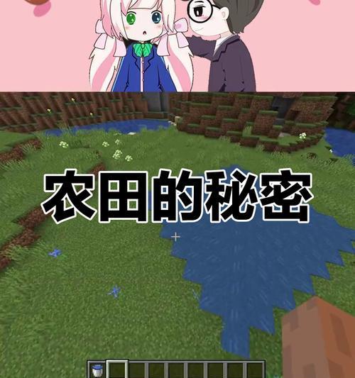 手机我的世界耕地方法有哪些？耕地工具如何使用？