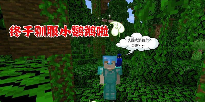 我的世界中鹦鹉的驯服方法是什么？