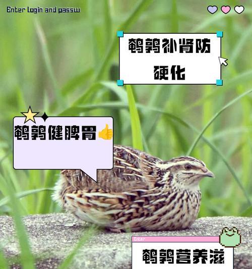 王者荣耀中鹌鹑的含义是什么？为何会有这样的称呼？