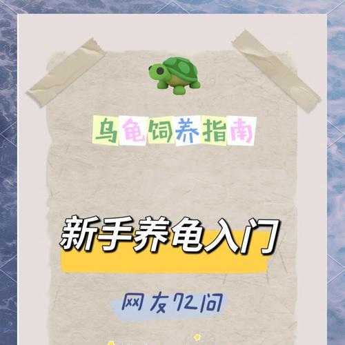 乌龟服毛驴获取途径是什么？需要完成哪些任务？