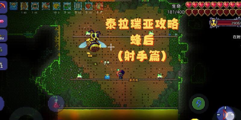 泰拉活动的具体参与步骤是什么？
