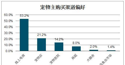 地下城宠物购买流程是怎样的？有哪些购买渠道？